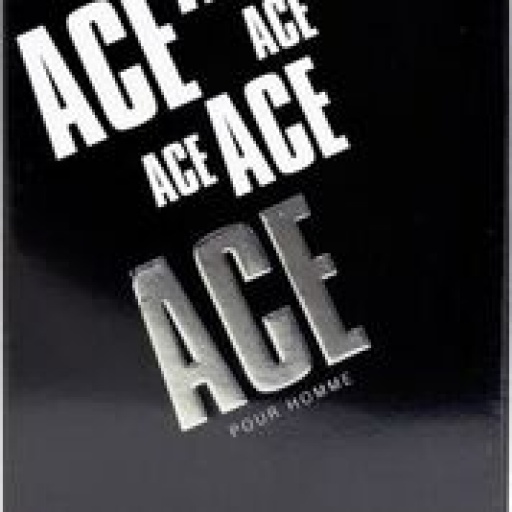 PERFUME 100ML STYLE ACE