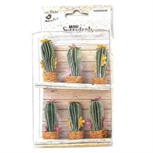 CACTUS CON MACETA X 6 LITTLE BIRDIE