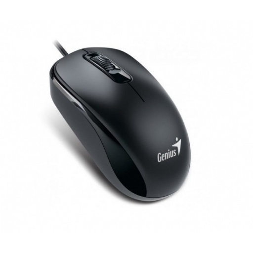 MOUSE GENIUS USB NEGRO DX-100