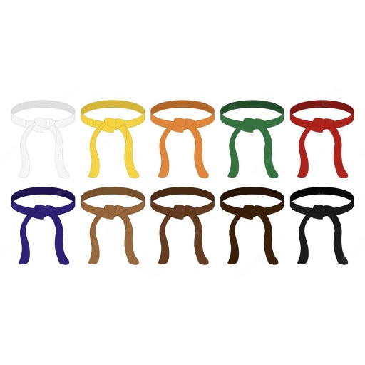 CINTURON KARATE 3 METROS COLORES