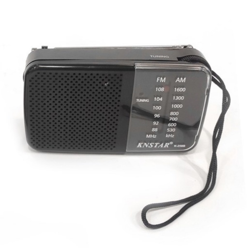 RADIO HORIZONTAL AM FM EN CAJA 2AA