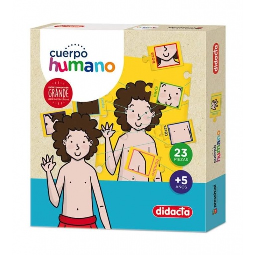 DIDACTA CUERPO HUMANO