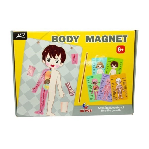 PUZZLE MAGNETICO 80 PZAS CUERPO HUMANO 6904
