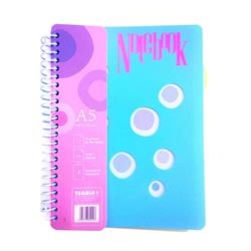 CUADERNO A5 TAPA PLASTICA 100H CON SEPARADOR