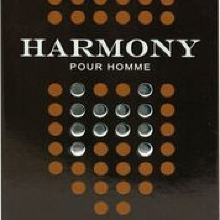 PERFUME 100ML IN STYLE HARMONY H