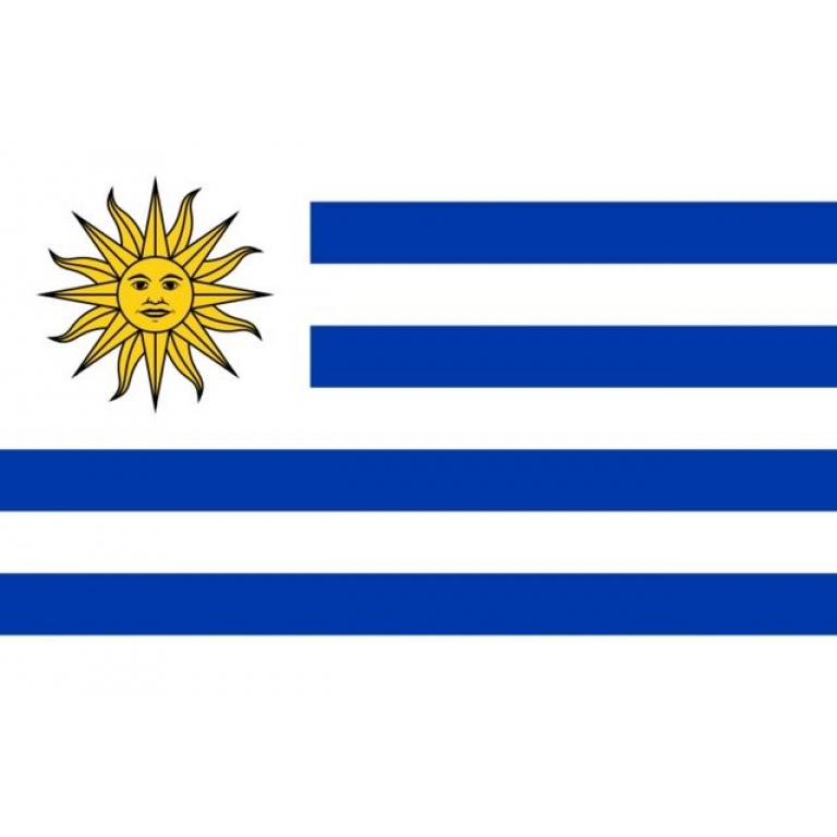 Bandera Uruguay  Chica    60 X 90