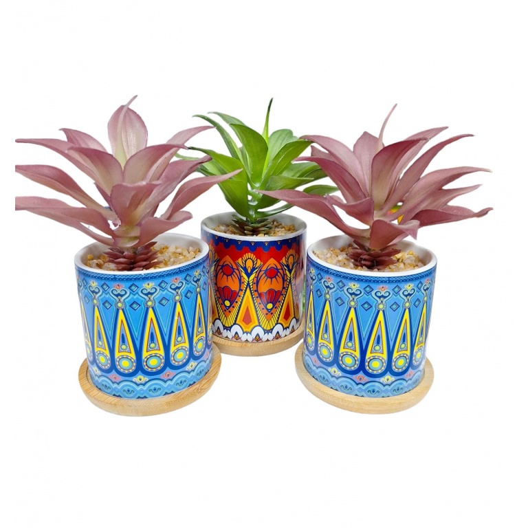 PLANTA HOJAS MACETA COLORES PLATO
