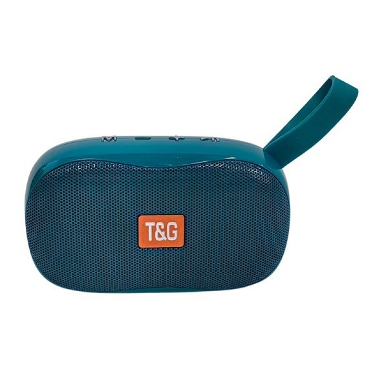 PARLANTE OVAL T&G TG173