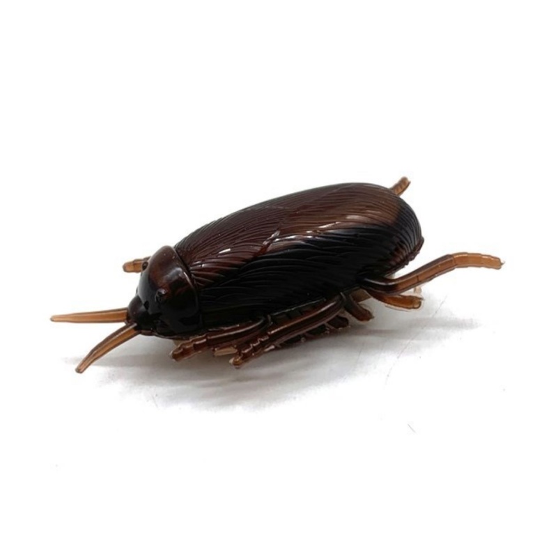 ANIMAL PLASTICO CUCARACHA CON MOV BC 9382