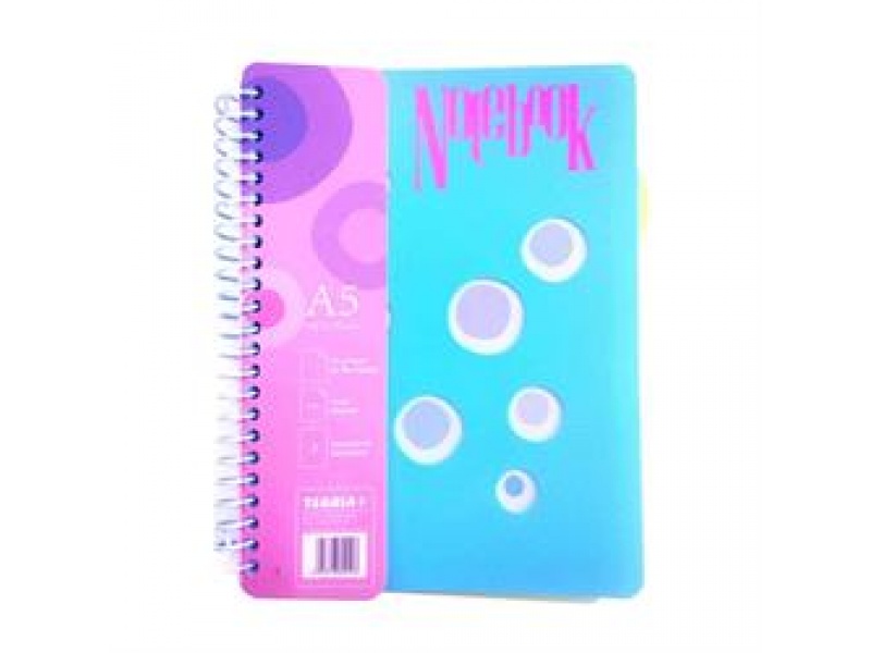 CUADERNO A5 TAPA PLASTICA 100H CON SEPARADOR