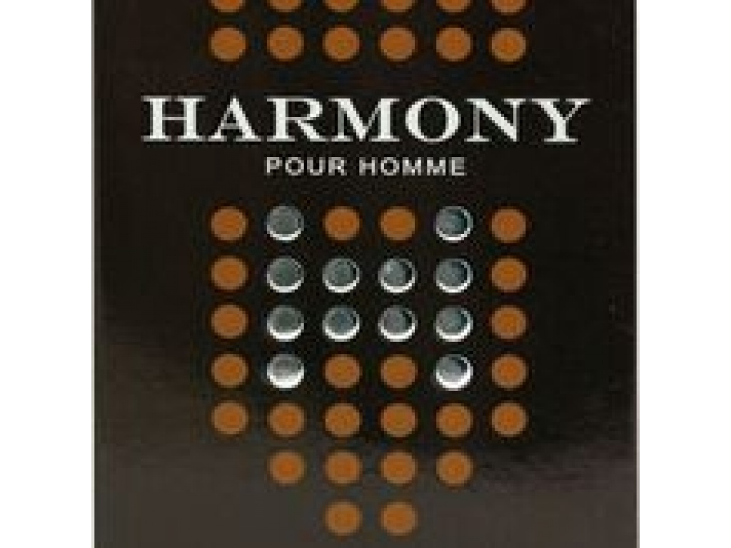 PERFUME 100ML IN STYLE HARMONY