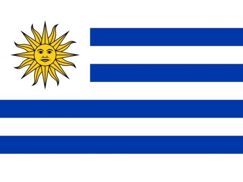 Bandera Uruguay  Chica    60 X 90