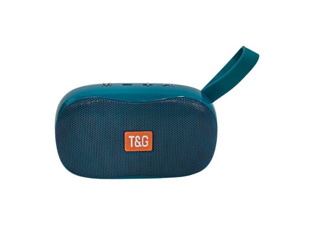 PARLANTE OVAL T&G TG173