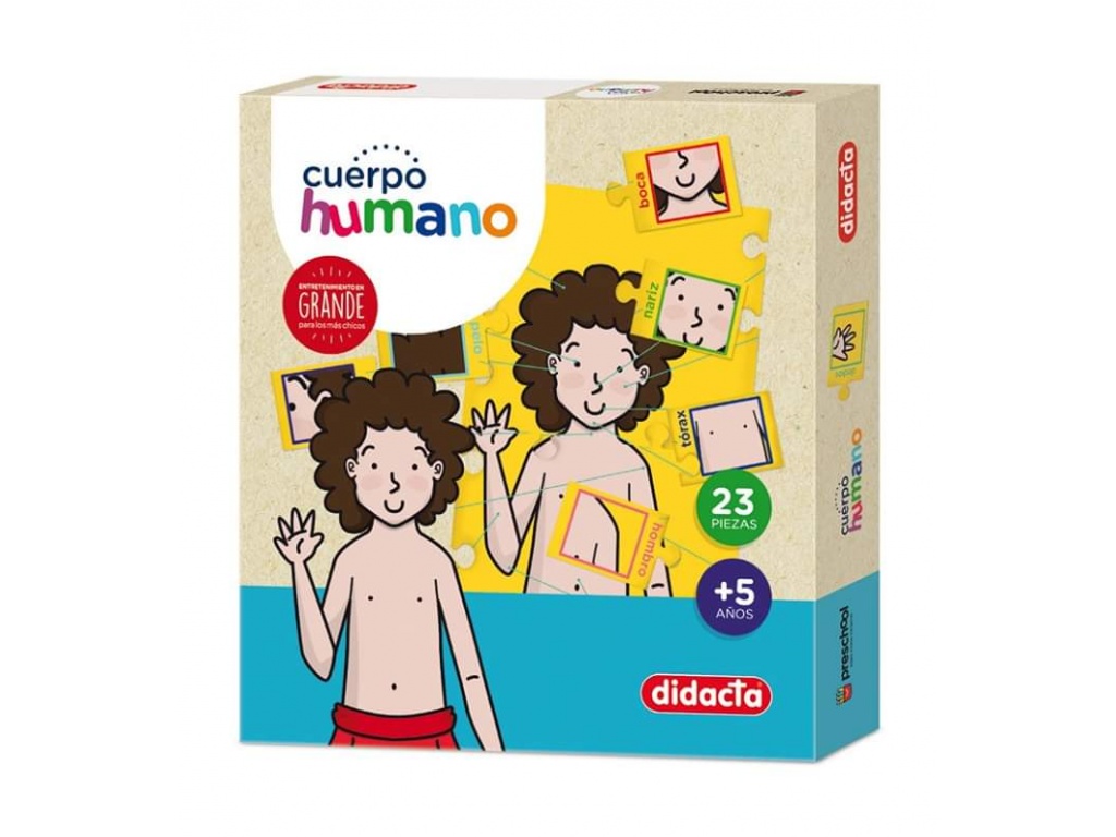DIDACTA CUERPO HUMANO