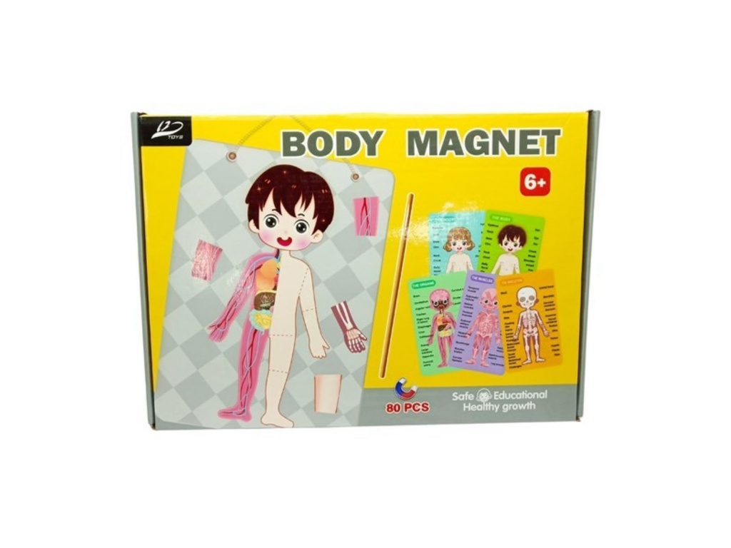 PUZZLE MAGNETICO 80 PZAS CUERPO HUMANO 6904
